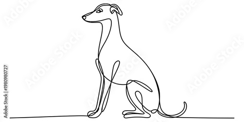 Single line drawing of a sitting greyhound dog in a minimalist and elegant art style. Vector, illustration