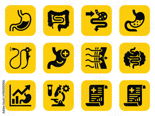 Digestive System Icons Medical Health Science.