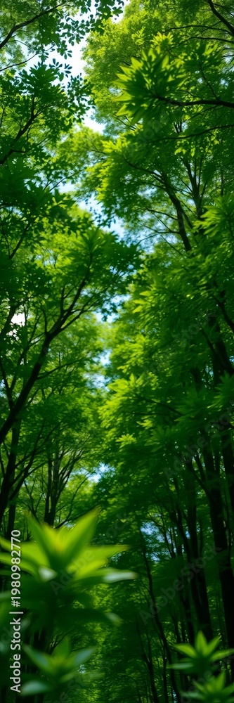 Fototapeta premium Deep green forest canopy viewed through a shallow depth of field, isolating the vibrant foliage, leafy background, nature