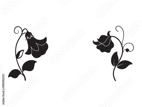 Black silhouette flowers with leaves and stems on white background for design and decoration purposes  flowers and plants