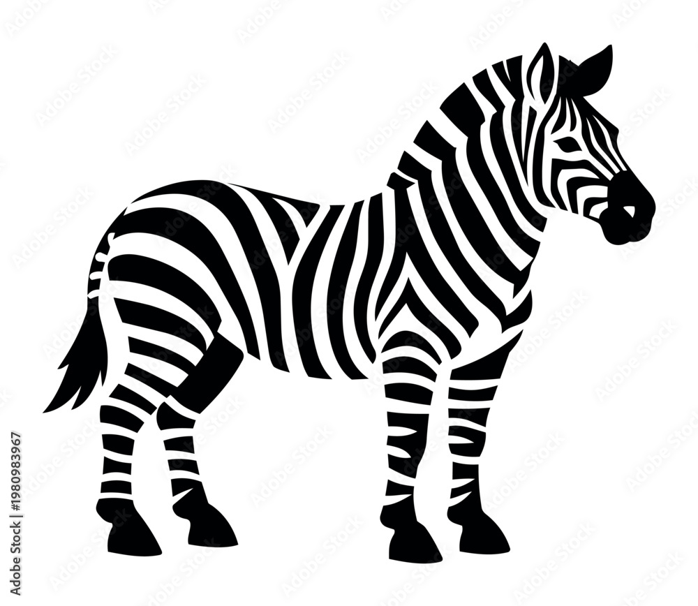 Fototapeta premium Zebra standing, showing distinctive black and white stripes. Vector illustration depicting African wildlife and nature