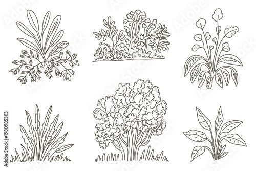 Set of six hand drawn botanical bushes and wild shrubs illustrations featuring diverse foliage leaves branches stems for floral design art