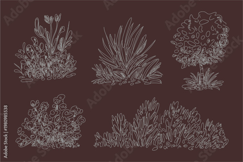 White line art bushes and shrubs collection on dark brown background for landscape architecture planning and outdoor gardening illustrations
