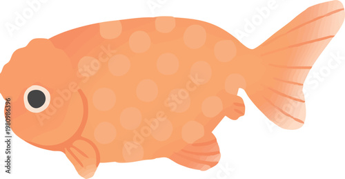 Ranchu Goldfish Isolated Vector Illustration Flat Design Japanese Ornamental Fish Side View White Background | らんちゅうの金魚イラスト 横向き観賞魚ベクター 白背景