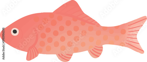 Wakin Goldfish Isolated Vector Illustration Flat Design Japanese Ornamental Fish Side View White Background | 和金の金魚イラスト 横向き観賞魚ベクター 白背景