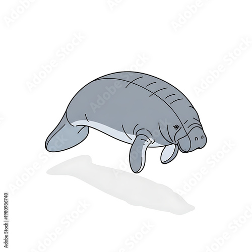 3D isometric cartoon manatee swimming isolated on transparent background