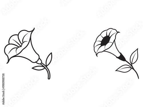Datura flowers with leaves on transparent background for design and decoration