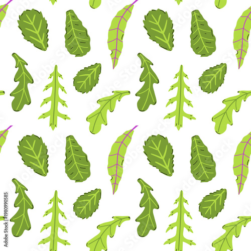 Vector seamless pattern with assorted green salad leaves and arugula on white background. Fresh organic salad foliage print for kitchen textile, wrapping paper, packaging, healthy vegan food design.