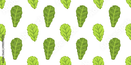 Vector seamless pattern with green leaf salad on white background. Fresh organic salad vegetable print for wrapping paper and wallpaper, kitchen textile, packaging and healthy salad design.