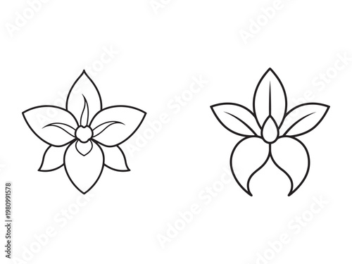 Line drawing of two flowers with multiple petals and leaves simple outline on white background for design and decoration purposes