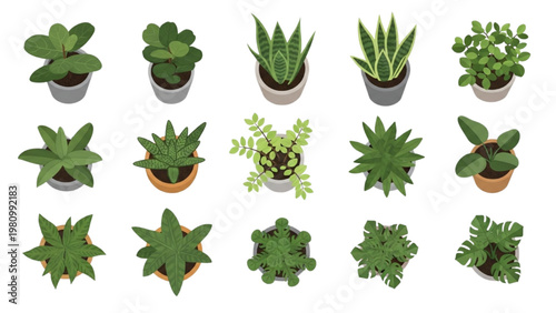 Various vector 2D CAD illustrations of potted plants in different shapes and sizes are shown
