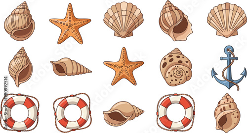 Beach and Nautical Theme with Seashells, Starfish, Lifebuoys, and Anchor Illustration