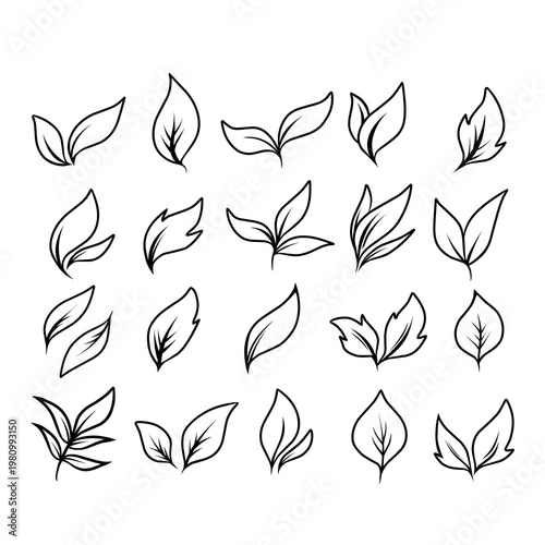 Minimalist Leaf Line Art Set – Hand Drawn Botanical Outline Collection