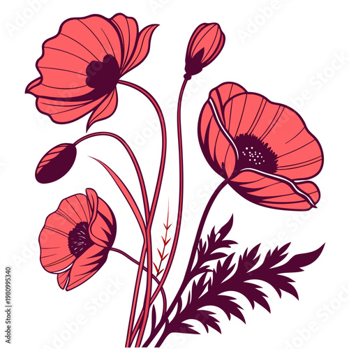 Bouquet of coral poppies and buds with dark purple stems and leaves on white background.