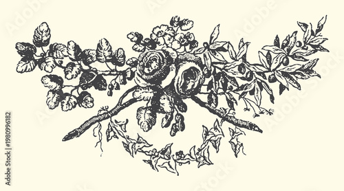 Floral vector illustration featuring detailed vintage rose arrangement with decorative leaves and branches for elegant graphic design project templates