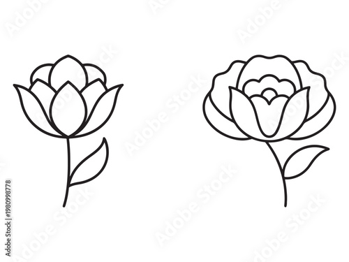 Simple line drawing of two flowers with leaves on stems  minimalist floral design