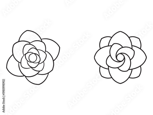 Simple line drawing of two identical flowers with many petals arranged in circular pattern  minimalist floral design elements