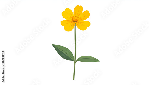 Radiant bloom, solitary grace, vibrant hue, delicate form.