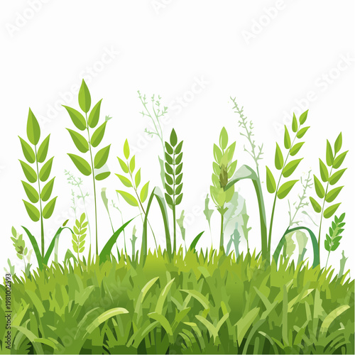 Green Grass and Wheat Field Landscape Illustration