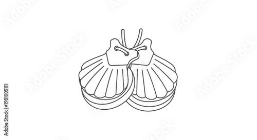 Clamshells with ribbed texture and bow vector illustration