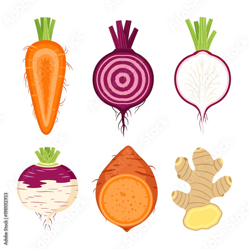 Stainless Steel Kitchen Whisk Vector Illustration for Cooking and Baking Design