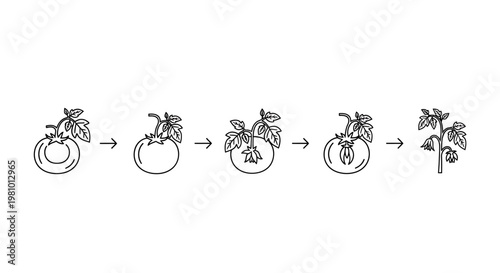 Kitchen Whisk Vector Illustration for Cooking Baking and Culinary Design Element