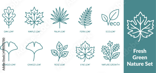 Spring Leaves Line Icons – Fresh Green Nature Set