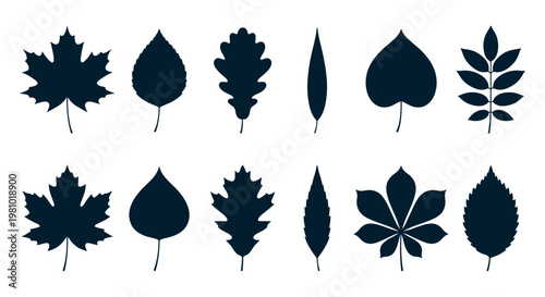 Leaf Silhouette Icon Set Minimalist Black Vector Illustration for Botanical Design and Autumn Branding