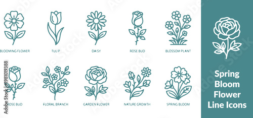Spring Bloom Flower Line Icons – Nature Blossom Set