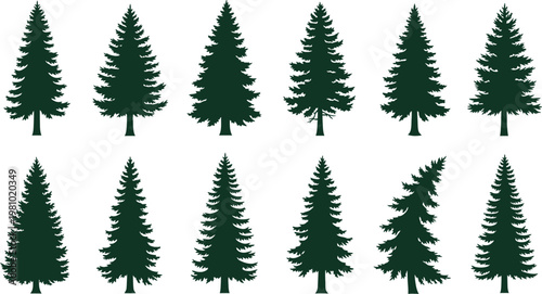 Collection of evergreen trees a variety of pine and fir tree silhouettes