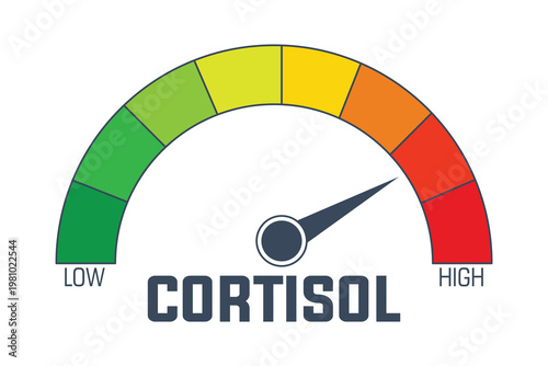 Cortisol Level Gauge Indicating Stress Measurement