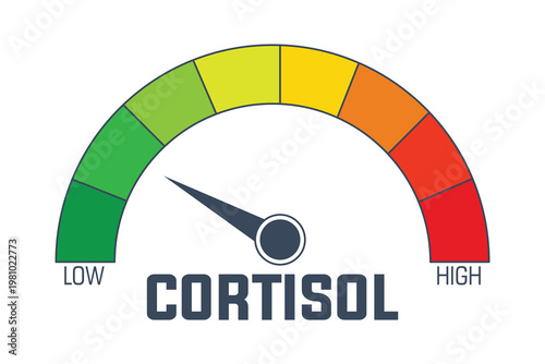 Cortisol Level Meter Indicating Stress