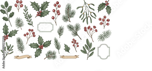 Vector collection of realistic winter botanicals featuring holly mistletoe pine branches and seasonal berries for holiday designVector collection of realistic winter botanicals featuring holly 