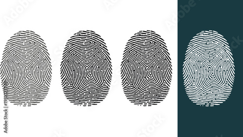 Set of Fingerprint Vector Illustrations in Black, White, and Gray with Detailed Line Patterns for Security and Identification