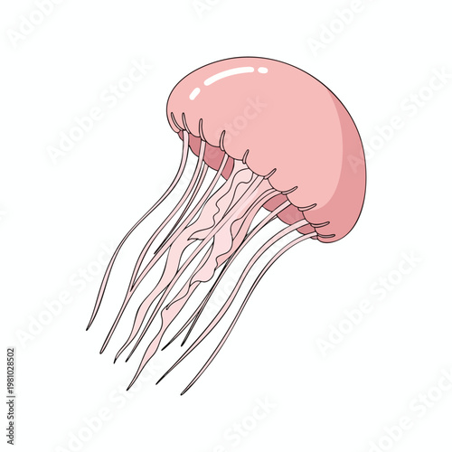 Realistic Illustration of a Jellyfish with Transparent Body and Long Tentacles