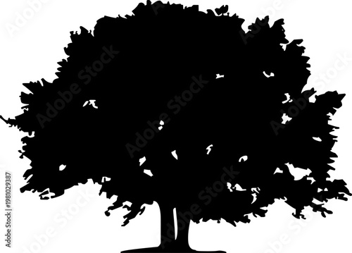 oak tree silhouette vector icon of large leafy deciduous tree
