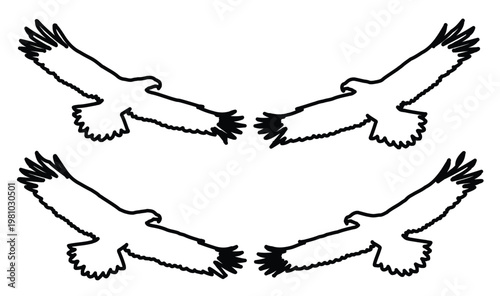 Minimalist eagle silhouette vector set, soaring bird of prey outlines, black and white flying hawk icons, 4 eagle elements for logo design
