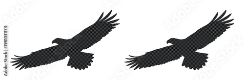 Eagle silhouette vector set, flying hawk bird of prey icons, black soaring falcon graphics on white background, majestic raptor wing span elements