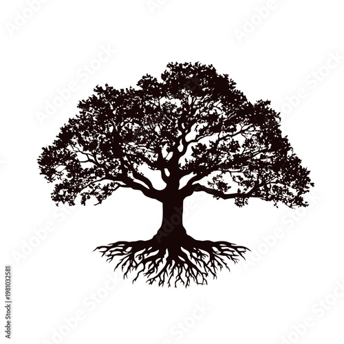 A tree with exposed roots and lush foliage grows in a natural setting.