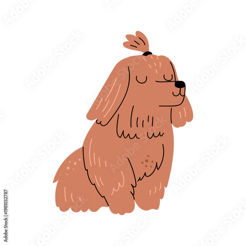 Yorkie character with cute muzzle expression and hairstyle. Vector in flat style, isolated Yorkshire terrier breed with long fur. British domesticated pet, canine animal of small size, puppy
