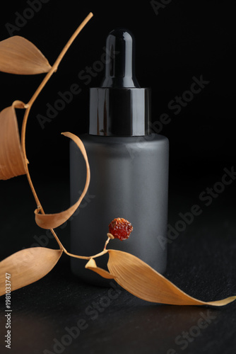 Bottle of cosmetic product and dry leaves on dark background, closeup