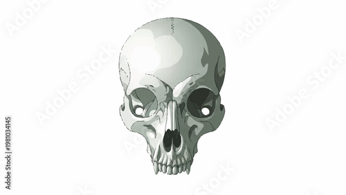 Intricate graphic depiction of a human skull, meticulously illustrated to reveal anatomical accuracy and a powerful, symbolic aesthetic