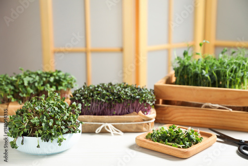 Different types of microgreens on light wooden table indoors