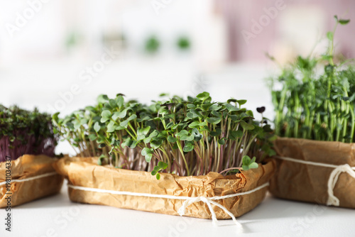 Different types of microgreens in containers on white table, closeup