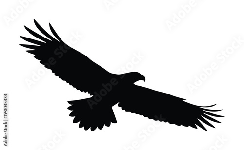 Majestic eagle silhouette in flight, soaring hawk vector illustration, black bird of prey profile, predatory raptor with spread wings on white background
