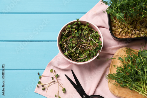 Different types of microgreens and scissors on blue wooden table, flat lay. Space for text