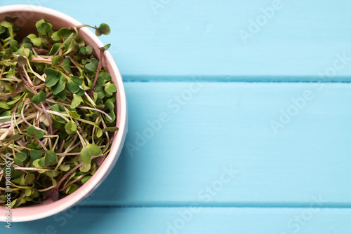 Fresh microgreens on blue wooden table, top view. Space for text