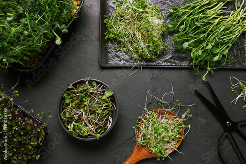Different types of microgreens and scissors on black table, flat lay