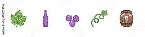 Grape Vineyards and Wine Harvest Elements with Colorful Crayony Pencil Texture and Calligraphic Ink Strokes