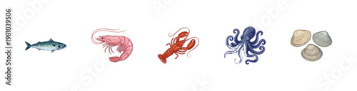 Marine Seafood and Ocean Delicacies with Colorful Crayony Pencil Texture and Organic Colorful Details for Restaurant Menus and Culinary Design.